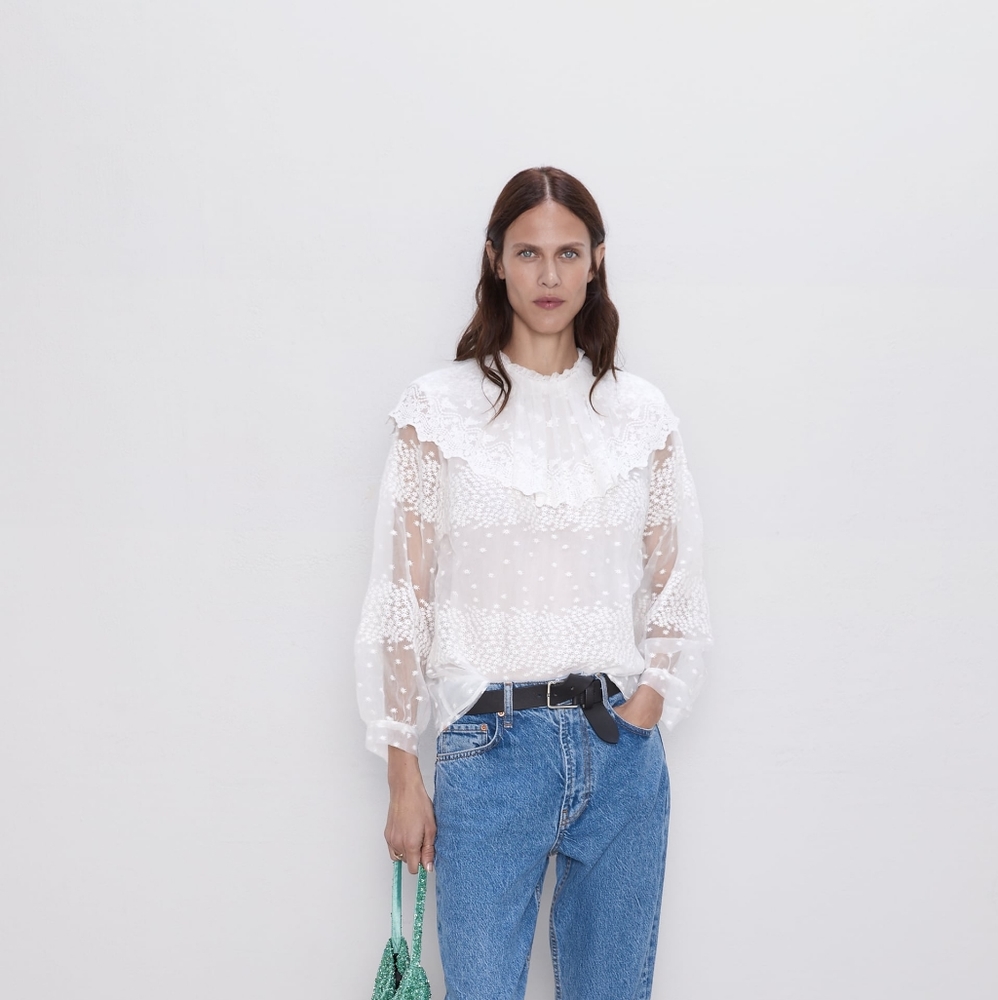 Zara NWT embroidered sheer top